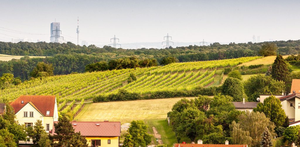 Über den Dächern von Hagenbrunn