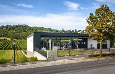 Fassade_Weingut-Gilg_Hagenbrunn_Weinviertel_CR_GILG_2018_2028-HDR