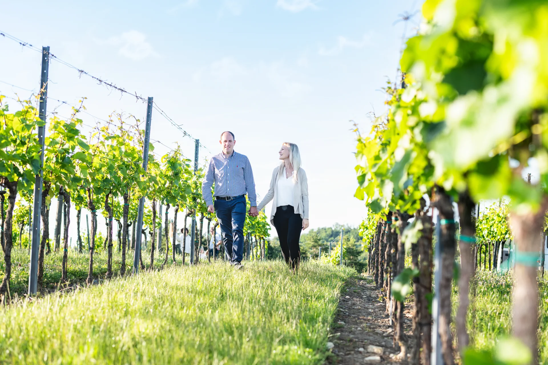 Ein Mann und eine Frau halten sich an den Händen und gehen durch einen sonnigen Weinberg, umgeben von grünen Weinreben und blauem Himmel.